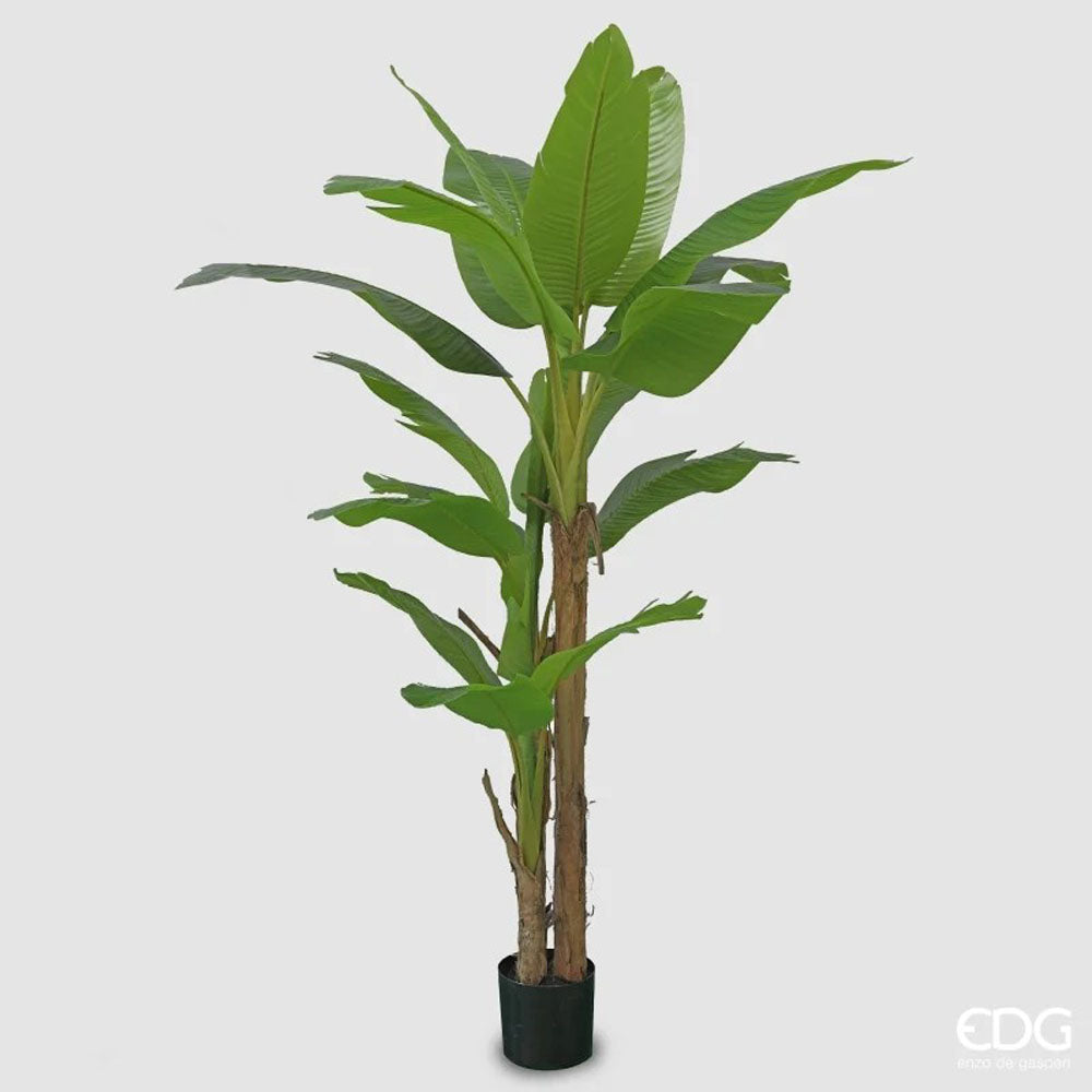 EDG - Pianta Artificiale Banano 20 Foglie con Vaso H200 cm