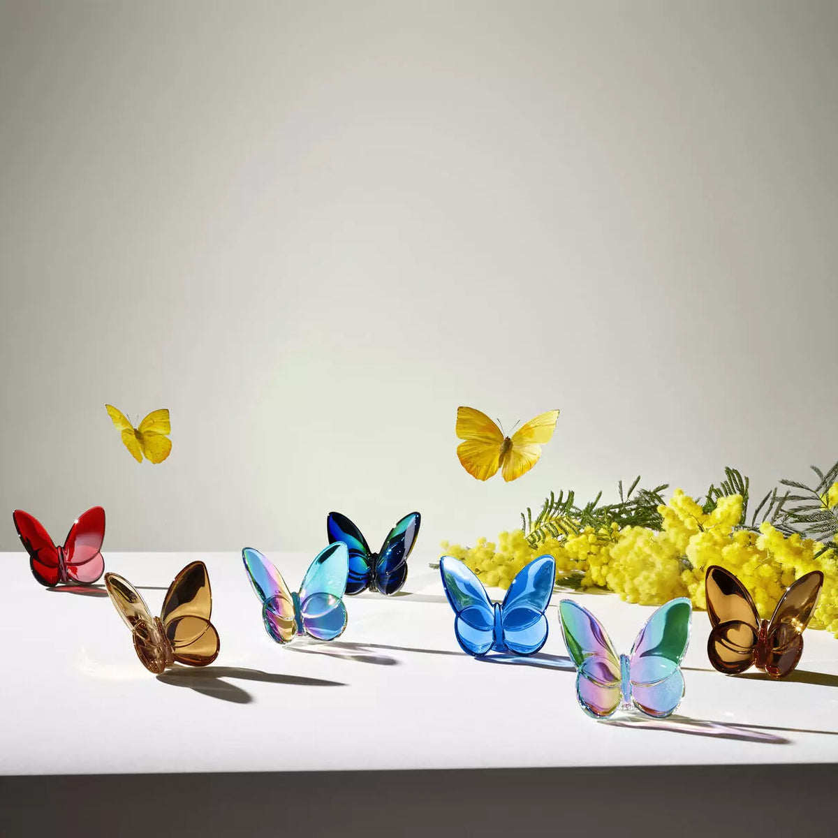 Baccarat – Lucky Butterfly – Farfalla Portafortuna in Cristallo Blu Scarabeo
