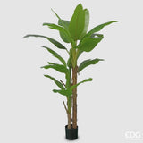 EDG - Pianta Artificiale Banano 20 Foglie con Vaso H200 cm
