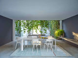 Kartell - Sedie A.I. ( 2 Sedie)