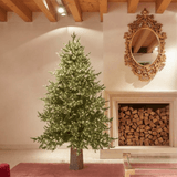EDG - Luxury Pine H.270 With 6000 LEDs D163