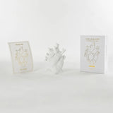 Seletti - Love in Bloom - Vaso