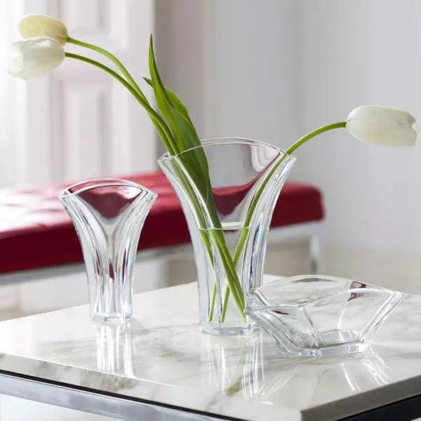 Baccarat - Ginkgo - Coppa