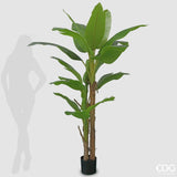 EDG - Pianta Artificiale Banano 20 Foglie con Vaso H200 cm