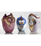 Bosa - Primates Brazza- Vaso